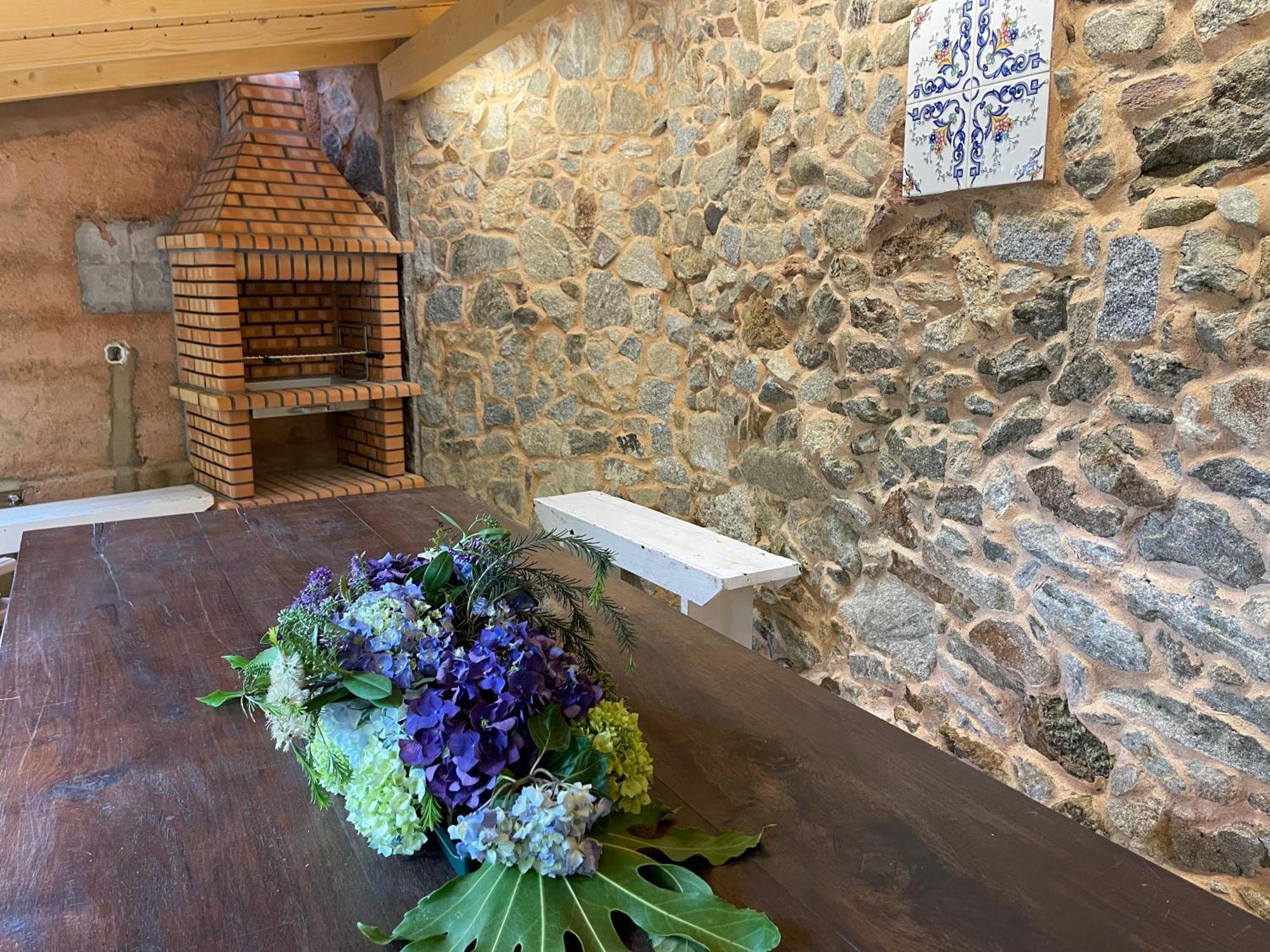 Willa Casa Velha-Santiagofamilyhouse Sever do Vouga Zewnętrze zdjęcie