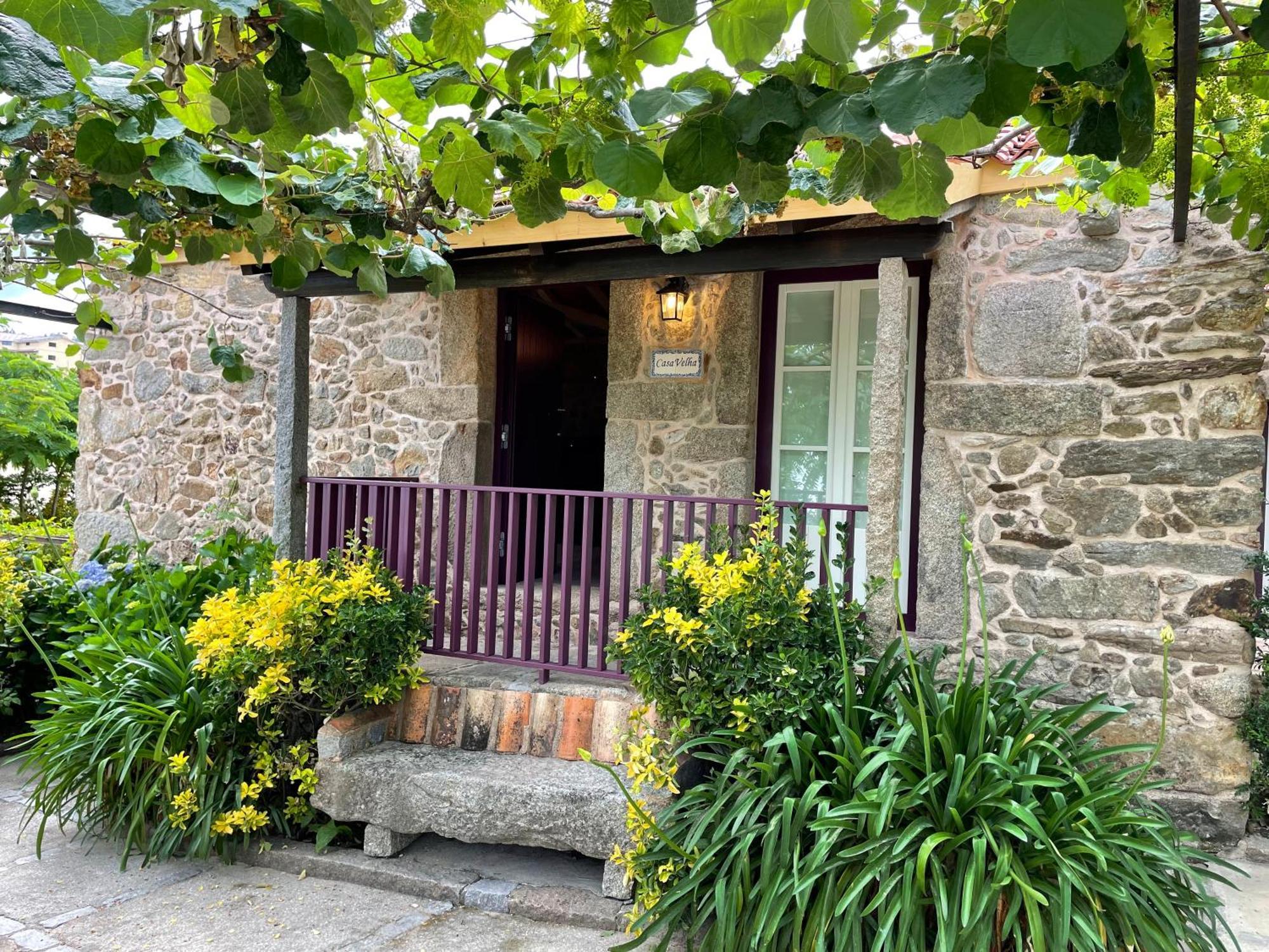 Willa Casa Velha-Santiagofamilyhouse Sever do Vouga Zewnętrze zdjęcie